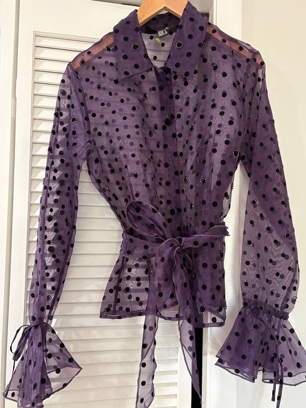 Vintage Sheer Polka Dot Sequin Tie-Waist Blouse - Purple